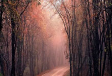 it新闻早报网站大全官网最新,it行业新闻app