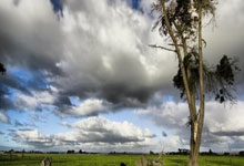 科技新闻热点事件分析,2020最新科技新闻事件素材