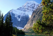 it新闻头条今日新闻热点最新消息,it行业新闻资讯